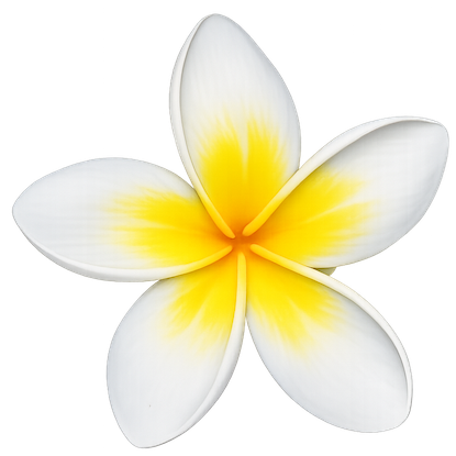 Plumeria flower